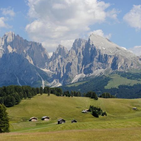 Naturresidence Dolomitenhof Siusi Kültér fotó